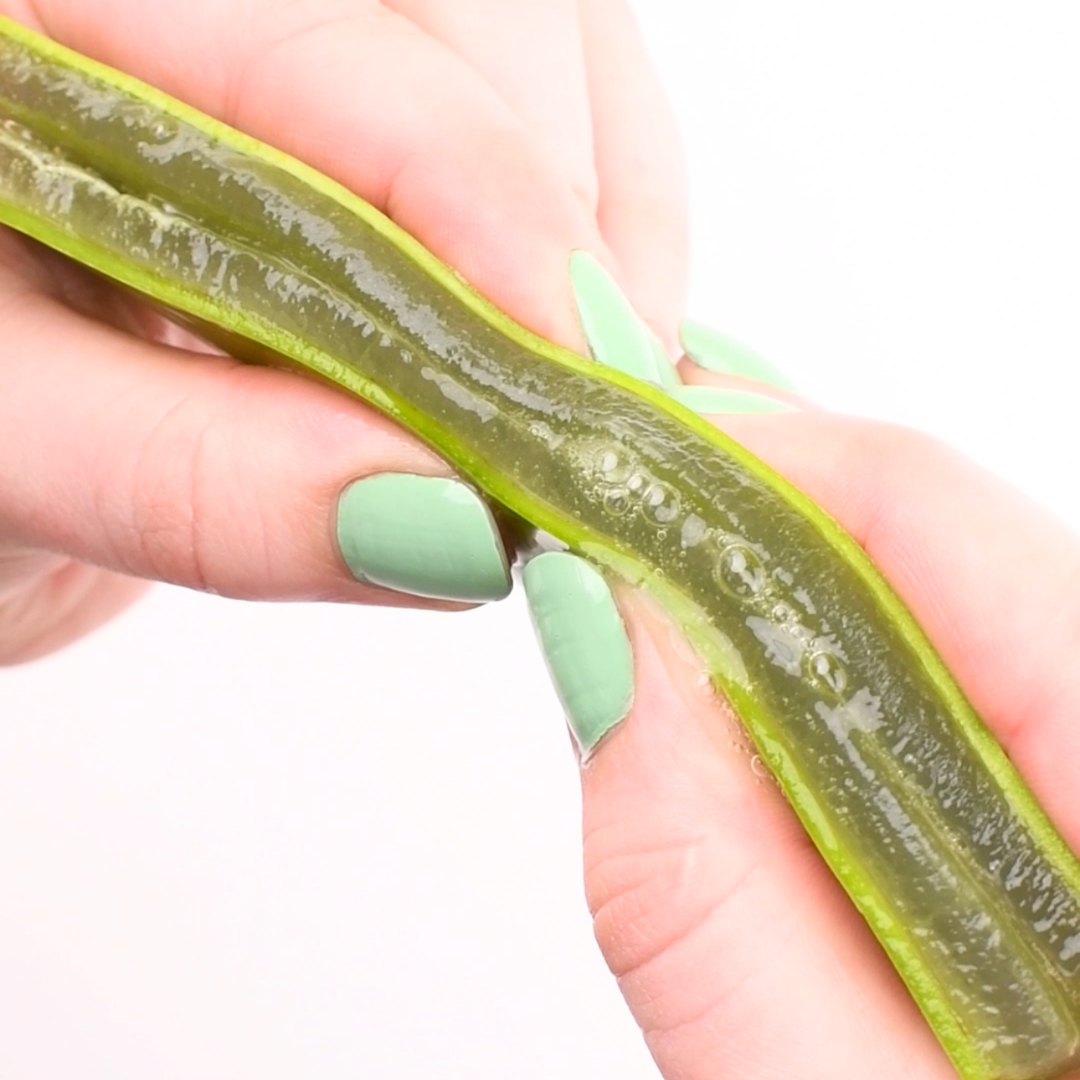 two hands squeezing a slice of Aloe Vera together