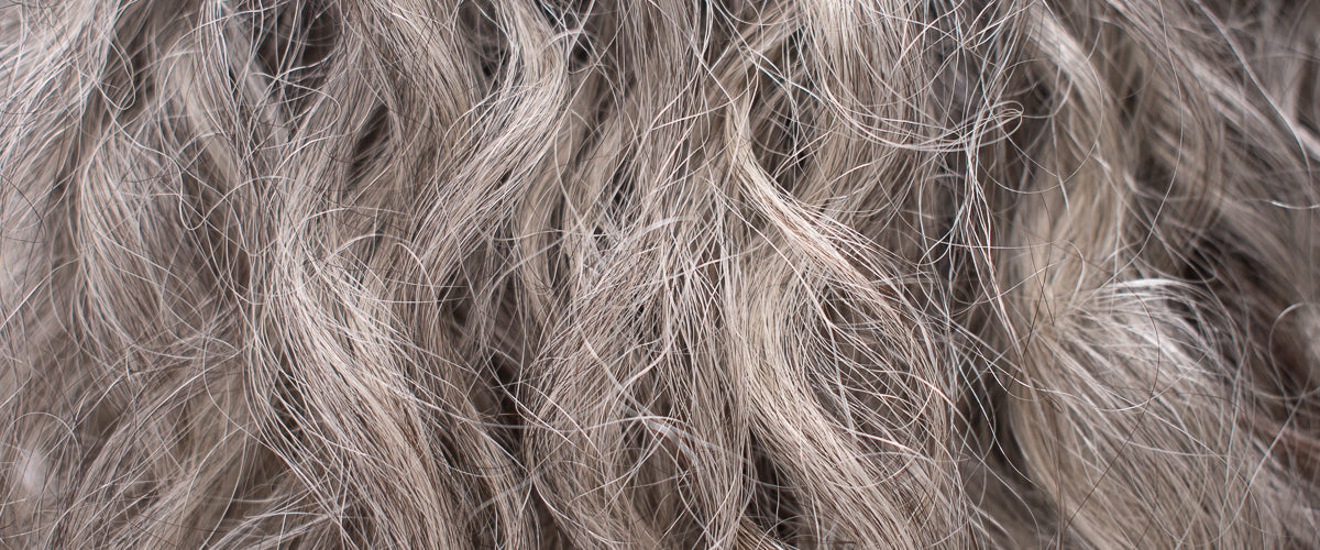 Shop Curly (Thick) Hair Products - Image of closed up of curly (thick) grey-brown hair