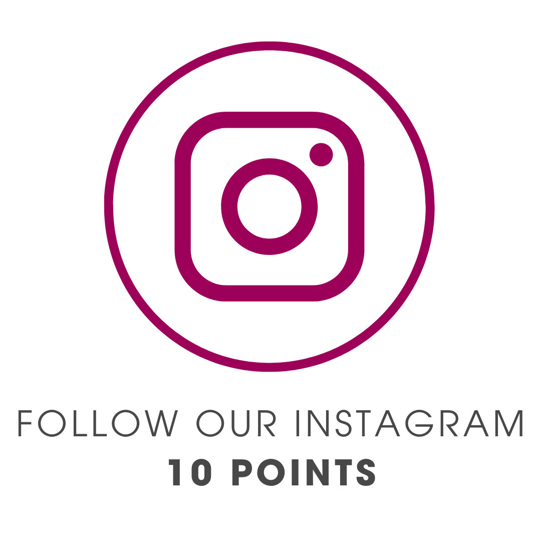 Icon of instagram logo with text underneath: 