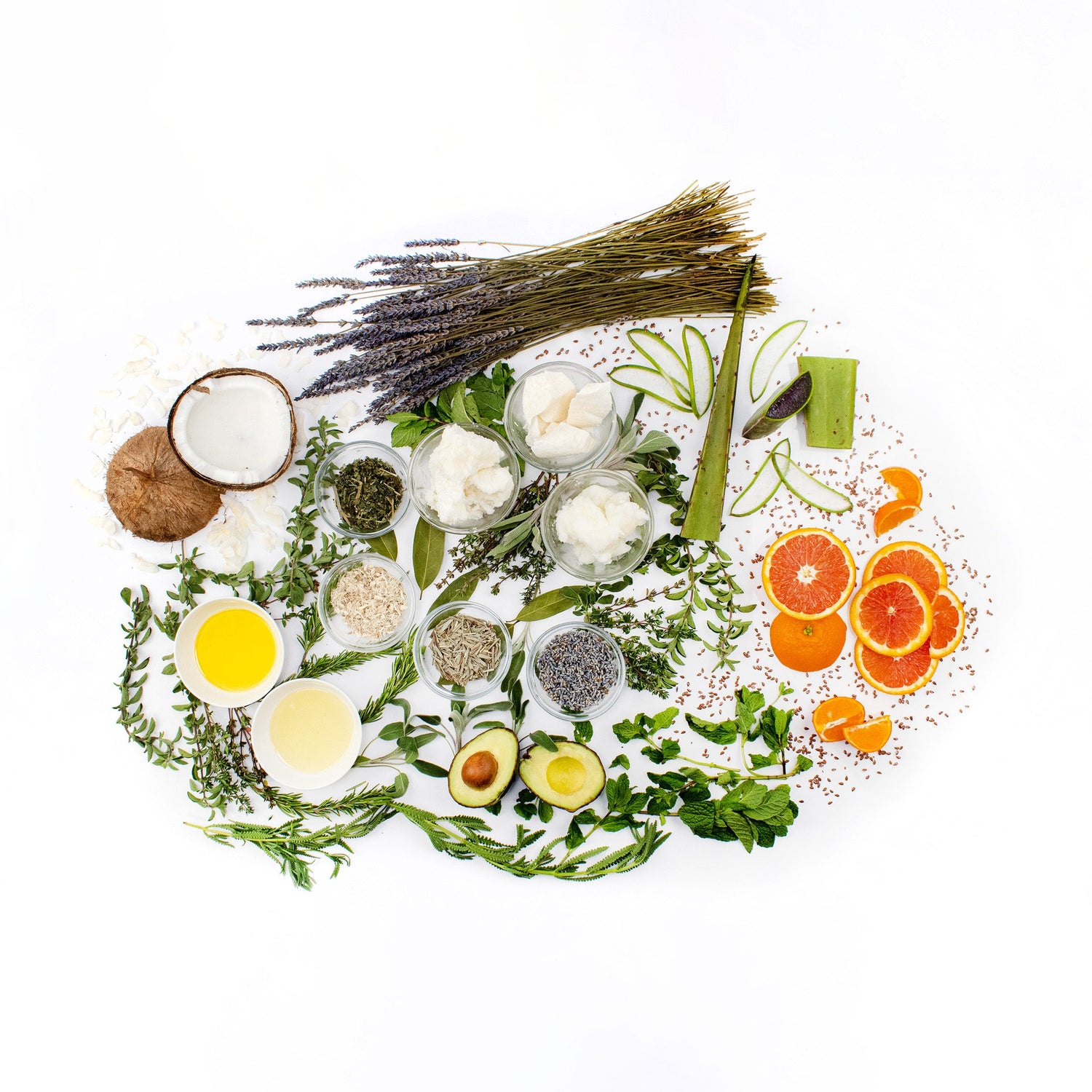 group of raw ingredients including orange slices, aloe vera, shea butter, avocados, coconut, etc. gathered around in a circle